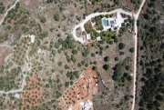Likotinarea Kreta, Likotinarea: Hanggrundstück mit Meerblick und Villenbaugenehmigung zu verkaufen Grundstück kaufen